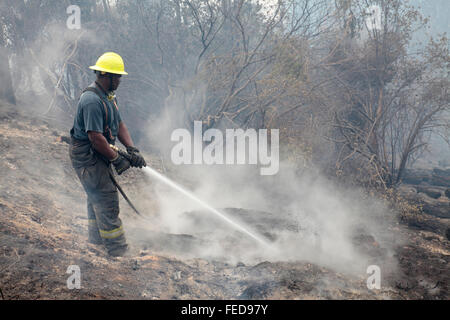 Feuerwehr Wald Löscharbeiten, Table Mountain National Park, Südafrika Stockfoto