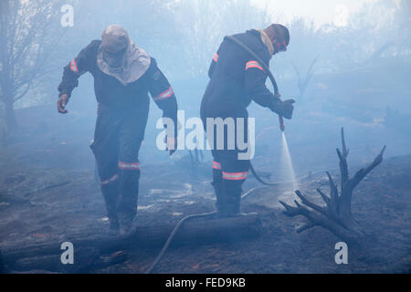 Feuerwehr Wald Löscharbeiten, Table Mountain National Park, Südafrika Stockfoto