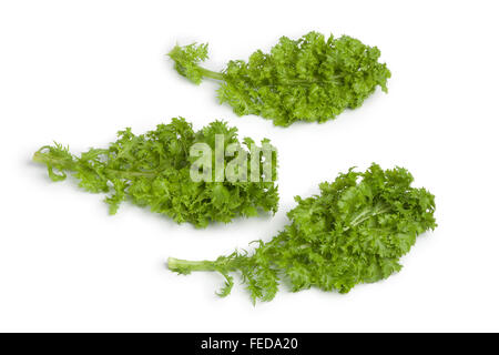 Frische grüne Wasabina lässt auf weißem Hintergrund Stockfoto