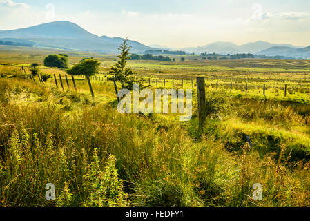 View towards Clough Head and distant northwestern fells in the English Lake District Stockfoto