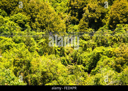 Mountainbiker, überqueren die Mangatukutuku Hängebrücke auf dem Holz-Trail im Pureora Wald Park Nordinsel Neuseeland Stockfoto