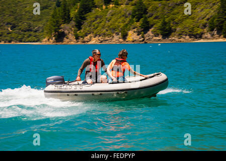 Beiboot mit Geschwindigkeit in Ketu Bay Pelorus Sound Marlborough Sounds Südinsel Neuseeland Stockfoto