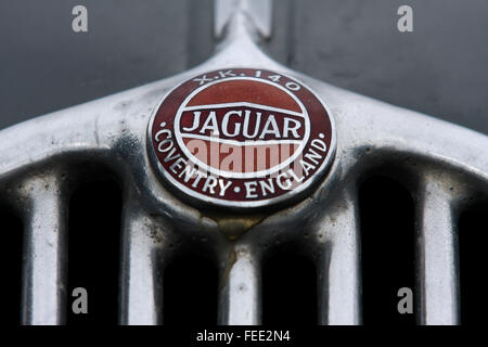 Grill und Abzeichen aus einem klassischen Jaguar XK140 Sportwagen gebaut zwischen 1954 und 1957 Stockfoto
