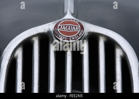 Grill und Abzeichen aus einem klassischen Jaguar XK140 Sportwagen gebaut zwischen 1954 und 1957 Stockfoto