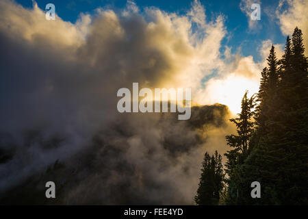 Dramatische Abendlicht entlang der Ptarmigan Ridge Trail, Mount Baker – Snoqualmie National Forest, Washington State, USA Stockfoto