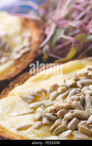 Toast mit Käse und Sonnenblumen Samen auf Platte Stockfoto