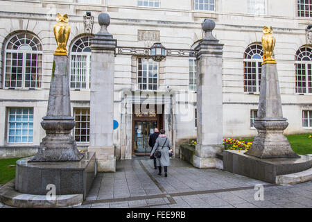 Goldene Eulen Millennium Square außerhalb Leeds Civic Hall, UK Stockfoto