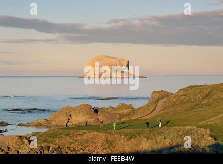 12. Oktober 2014 The Glen Golf Course und Bass Rock, North Berwick UK. Golfer am 13., "Meer Loch" mit dem Bass Rock hinter. Stockfoto