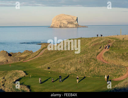 12. Oktober 2014, The Glen Golf Course und Bass Rock, North Berwick. Golfer Abschlag am 14. mit dem Bass Rock hinter. Stockfoto