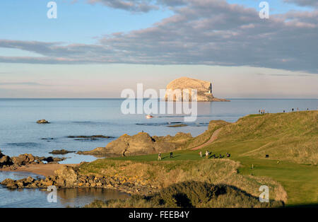 12. Oktober 2014 The Glen Golf Course und Bass Rock, North Berwick UK. Golfer am 13., "Meer Loch" mit dem Bass Rock hinter. Stockfoto