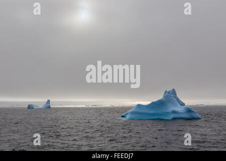 Blaue antarktische Eisberge driften über Lemaire-Kanal, Antarktis Stockfoto