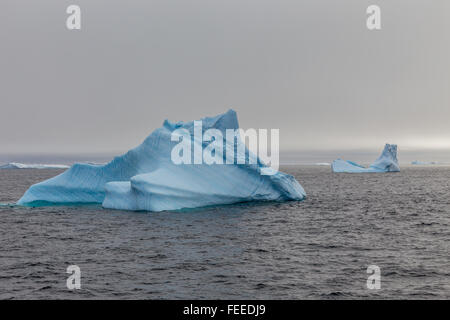 Blaue antarktische Eisberge driften über Lemaire-Kanal, Antarktis Stockfoto