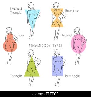 Weibliche Körper-Typen Anatomie. Hauptfrau Abbildung Form, Schriftart verwendet. Stock Vektor