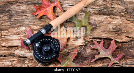 Angelrolle mit trockenen verwitterten Baum fliegen und Blätter fallen. Horizontale Anordnung. Stockfoto