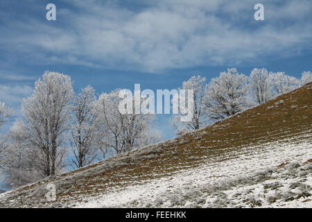 Eine Prise Schnee, Kitzbühel, Österreich Stockfoto