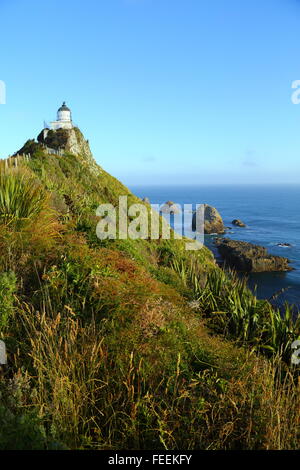 Nugget Point Lighthouse an der Catlins Küste Neuseelands. Stockfoto