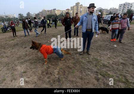 Gaza-Stadt, Gazastreifen, Palästinensische Gebiete. 5. Februar 2016. Palästinenser zeigen, dass ihre Hunde während der ersten Hund organisiert von lokalen Hundezüchter in Gaza-Stadt 5. Februar 2016 zeigen. Nach Ankündigungen über social Media für Hundebesitzer zu beteiligen, mehr als dreißig verschiedene Rassen wurden brachte die Show abzielt, die Zucht von Hunden © Mohammed Asad/APA Bilder/ZUMA Draht/Alamy Live News Stockfoto