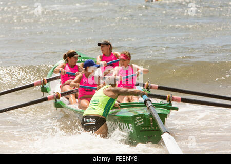 Sydney, Australien. 6. Februar 2016. Ozean Thunder statt eine im Fernsehen übertragenen Professional Surfen Boot Rennveranstaltung auf Collaroy Beach, Sydney, mit Elite Herren und Damen Surf Boots-Serie. Bildnachweis: model10/Alamy Live-Nachrichten Stockfoto