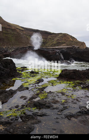 Spouting Horn ist eine natürliche Anomalie, wo das Wasser durch die Felsen und Auslauf von oben im dramatischen Handlung gezwungen Stockfoto