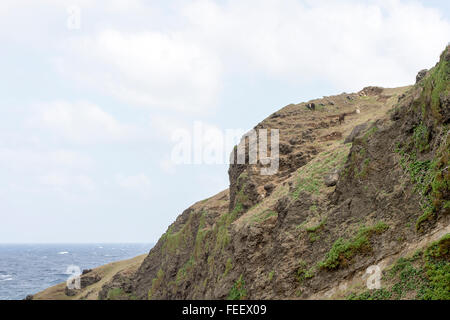 Die Schönheit der Felsformationen und Ozean bei Alapad oder Alepad Punkt in Batanes Insel, Philippinen. Stockfoto