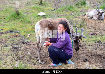 Duhkha (gleiche wie Tsaatan) Frau Melken ihre Rentiere Stockfoto