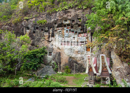 LEMO ist Klippen alte Grabstätte in Tana Toraja. Galerien von Tau-Tau bewachen die Gräber. Süd-Sulawesi, Indonesien Stockfoto