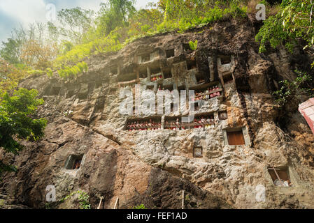 LEMO ist Klippen alte Grabstätte in Tana Toraja. Galerien von Tau-Tau bewachen die Gräber. Süd-Sulawesi, Indonesien Stockfoto