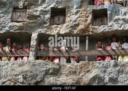 Hölzerne Statuen von Tau Tau sind Vertreter des Verstorbenen und bewachen die Gräber. LEMO ist Klippen alte Grabstätte in Tana Toraja Stockfoto