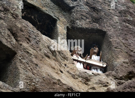 Hölzerne Statuen von Tau Tau sind Vertreter des Verstorbenen und bewachen die Gräber. LEMO ist Klippen alte Grabstätte in Tana Toraja Stockfoto