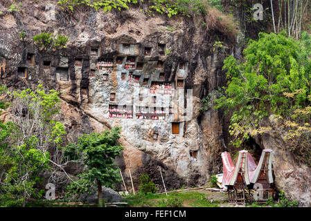 LEMO ist Klippen alte Grabstätte in Tana Toraja. Galerien von Tau-Tau bewachen die Gräber. Süd-Sulawesi, Indonesien Stockfoto