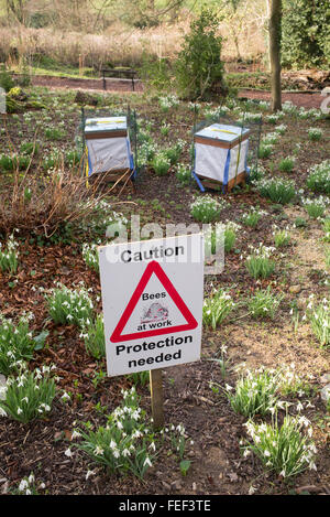 Vorsicht Bienen am Werk-Schild vor der Bienenstöcke im Winter in Painswick Rokoko Gardens. Cotswolds, Gloucestershire, UK Stockfoto