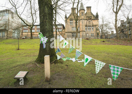 Glasgow, Scotland, UK - 6. Februar 2016: UK Wetter - ein feuchten Start ins Wochenende an der Glasgow University und Kelvingrove Park wo Schottlands Baum des Jahres 2016 ist jetzt für Kundenwerbung Stimmen in der European Tree of the Year Wettbewerb.  Die Suffragetten-Eiche gepflanzt wurde fast 100 Jahren am 20. April 1918 zum Gedenken an die Gewährung der Stimmen für Frauen.  Der Wettbewerb konzentrieren nicht auf Schönheit, Größe oder Alter sondern auf den Baum Geschichte und seiner Verbindung zum Menschen. Bildnachweis: Kayrtravel/Alamy Live-Nachrichten Stockfoto