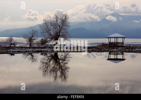 Spiegelungen im See Kerkini in Serres Region, Mazedonien, Griechenland. Stockfoto