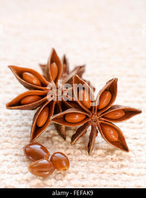 Sternanis und Samen erfolgen in Gruppen von drei Schuss vertikal mit selektiven Fokus auf eine Creme strukturierten Hintergrund. Stockfoto