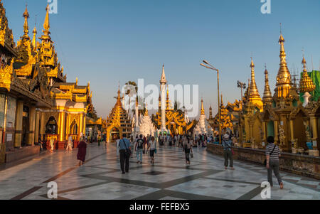 Shwedagon Zedi Daw-Pagode, auch bekannt als die Goldene Pagode oder große Dagon Pagode. Yangon, Myanmar. Am späten Nachmittag. Stockfoto