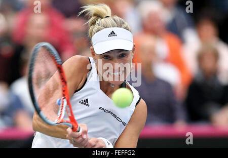 Leipzig, Deutschland. 6. Februar 2016. Angelique Kerber aus Deutschland im Kampf gegen Bacsinszky bei der Fed-Cup-Viertelfinale Deutschland vs. Schweiz in Leipzig, Deutschland, 6. Februar 2016. Foto: JAN WOITAS/Dpa/Alamy Live News Stockfoto