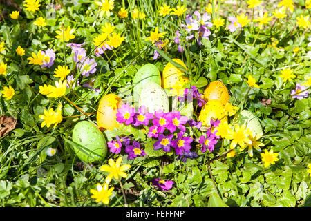 farbige Ostereier versteckt in Blumen und Gräser Stockfoto