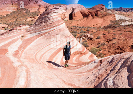 Wave - wunderschön gestreifte Sandstein-Felsformation, Valley of Fire State Park, NV Feuer. Stockfoto