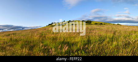 Baskett Slough National Wildlife Refuge Wiesen und Eiche Savanne Stockfoto