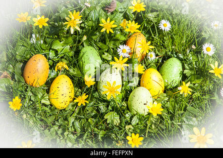 farbige Ostereier versteckt in Blumen und Gräser Stockfoto