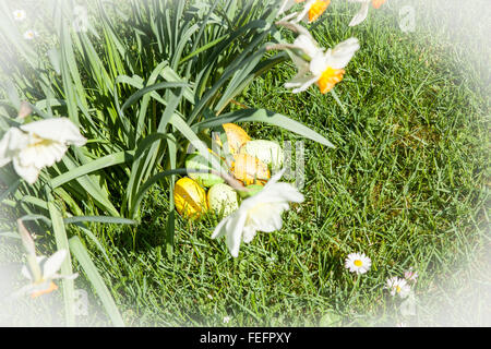 farbige Ostereier versteckt in Blumen und Gräser Stockfoto