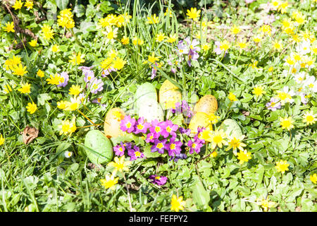 farbige Ostereier versteckt in Blumen und Gräser Stockfoto