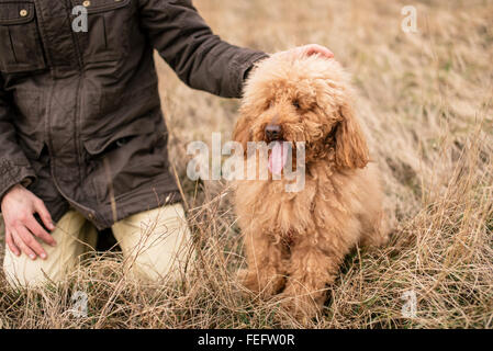 Mann und seine rote Pudelhund Stockfoto