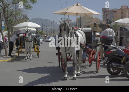 Pferd und Wagen, Los Boliches, Fuengirola, Costa Del Sol, Spanien. Stockfoto