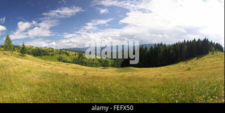 Panorama des Sommers Karpaten, Ukraine Stockfoto