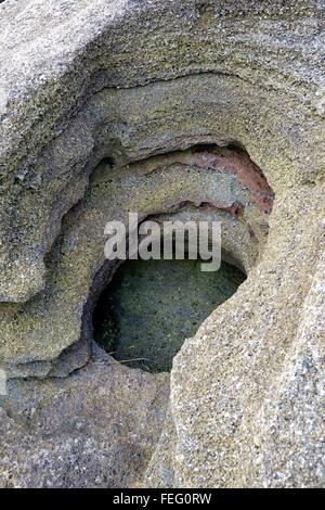 Gekerbten Coquina rockt, verwittert und Erosion durch Wind und Wasser, am Strand, Flagler County, Florida Stockfoto