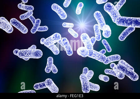 Illustration von stäbchenförmigen Bakterien. Stäbchenförmige Bakterien zählen Escherichia coli, Salmonellen, Shigella, Klebsiella, Stockfoto