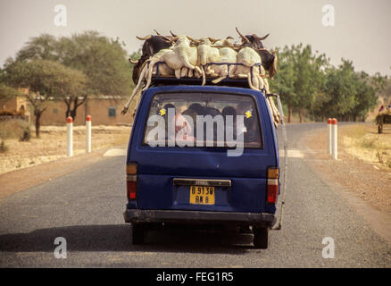 Niamey, Niger.  Ein Taxi-van mit Ziegen auf den Markt. Stockfoto