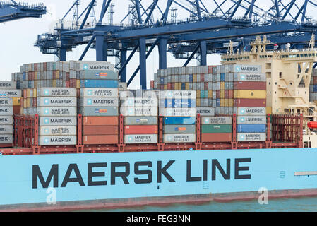 Maersk Line Containerschiff im Containerhafen Felixstowe, Felixstowe, Essex, England, Vereinigtes Königreich Stockfoto