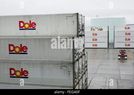 See-Container mit dem Logo der Dole Food Company, Inc., in einer Versand-Anlage in San Diego, Kalifornien am 31. Januar 2016. Stockfoto